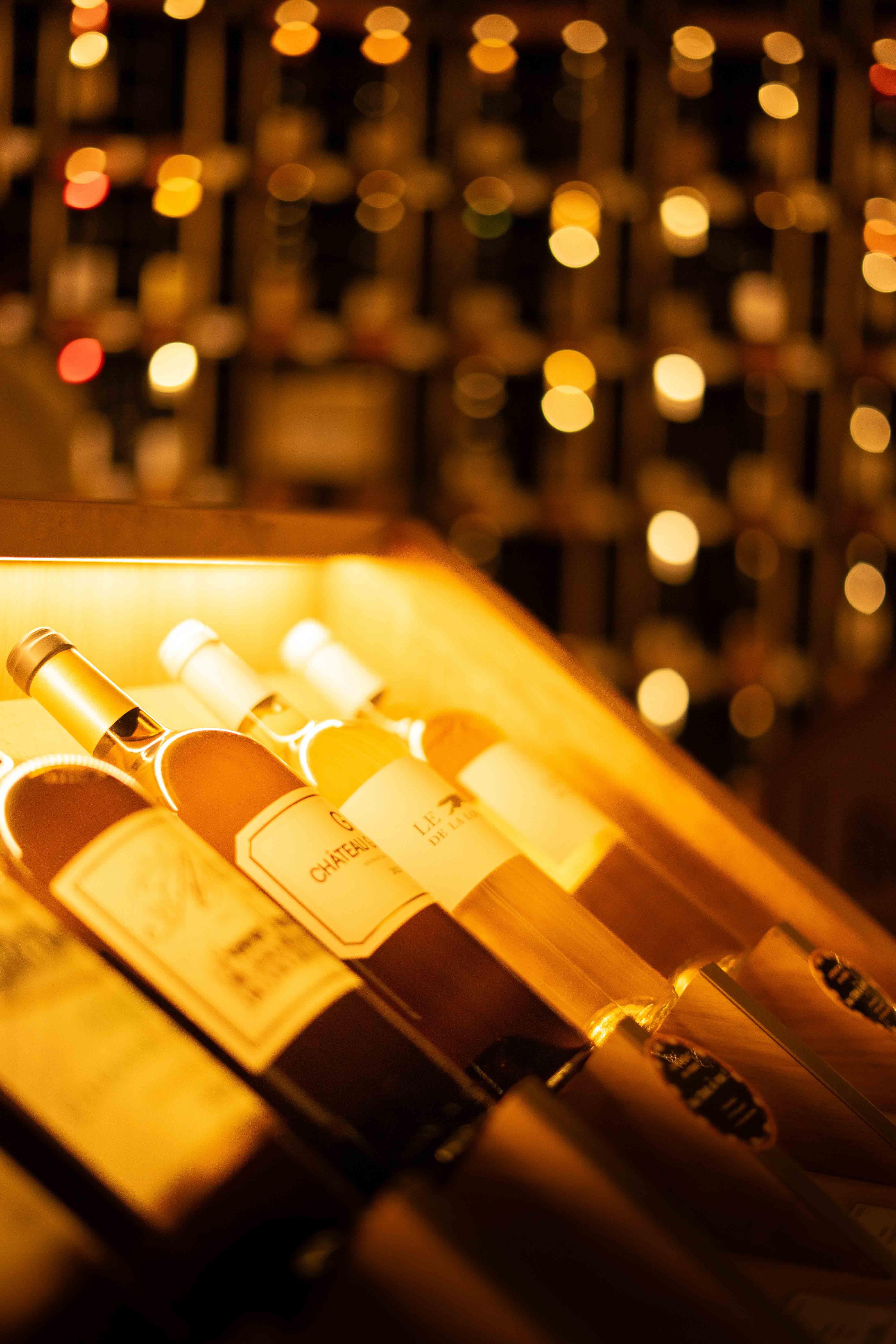 Bouteilles de vins exposées dans une belle cave