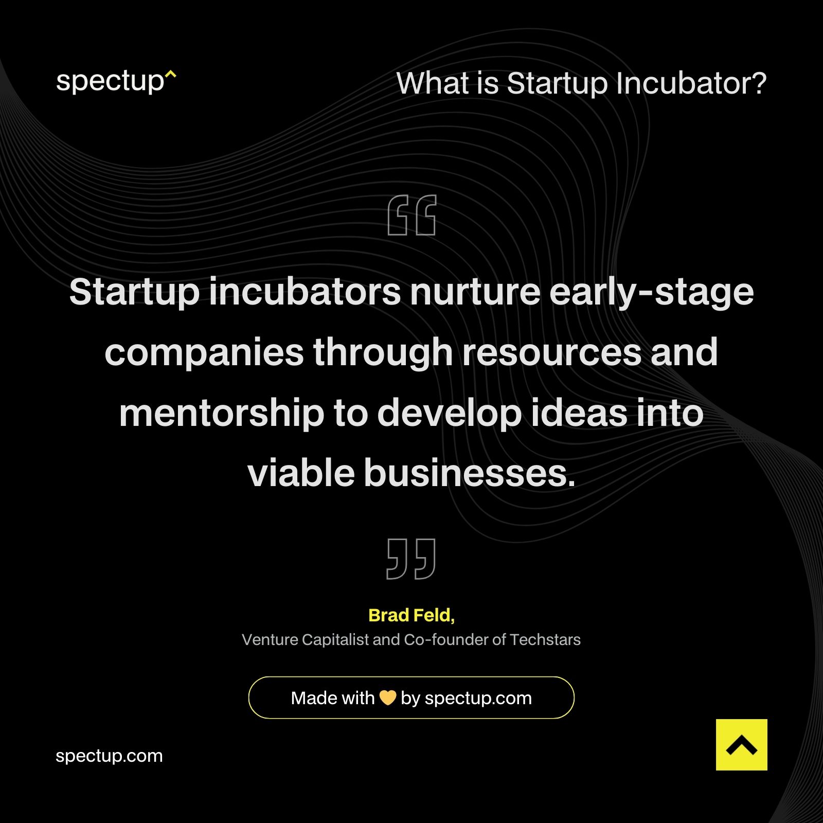 What is Startup Incubator?