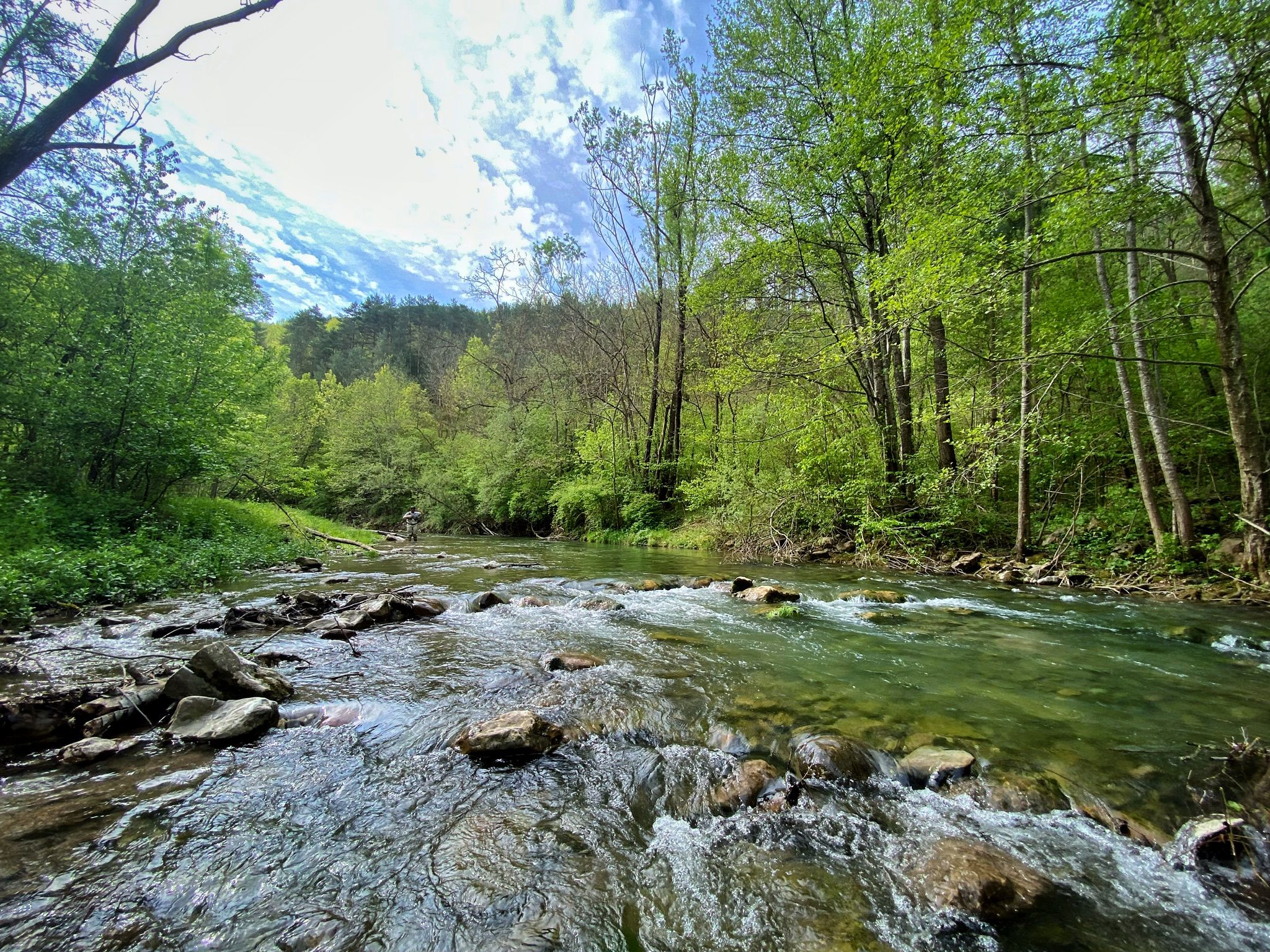 Nymph fly fishing Barcelona: A rod in action as an angler hooks a wild trout in a crystal-clear Catalonian stream.