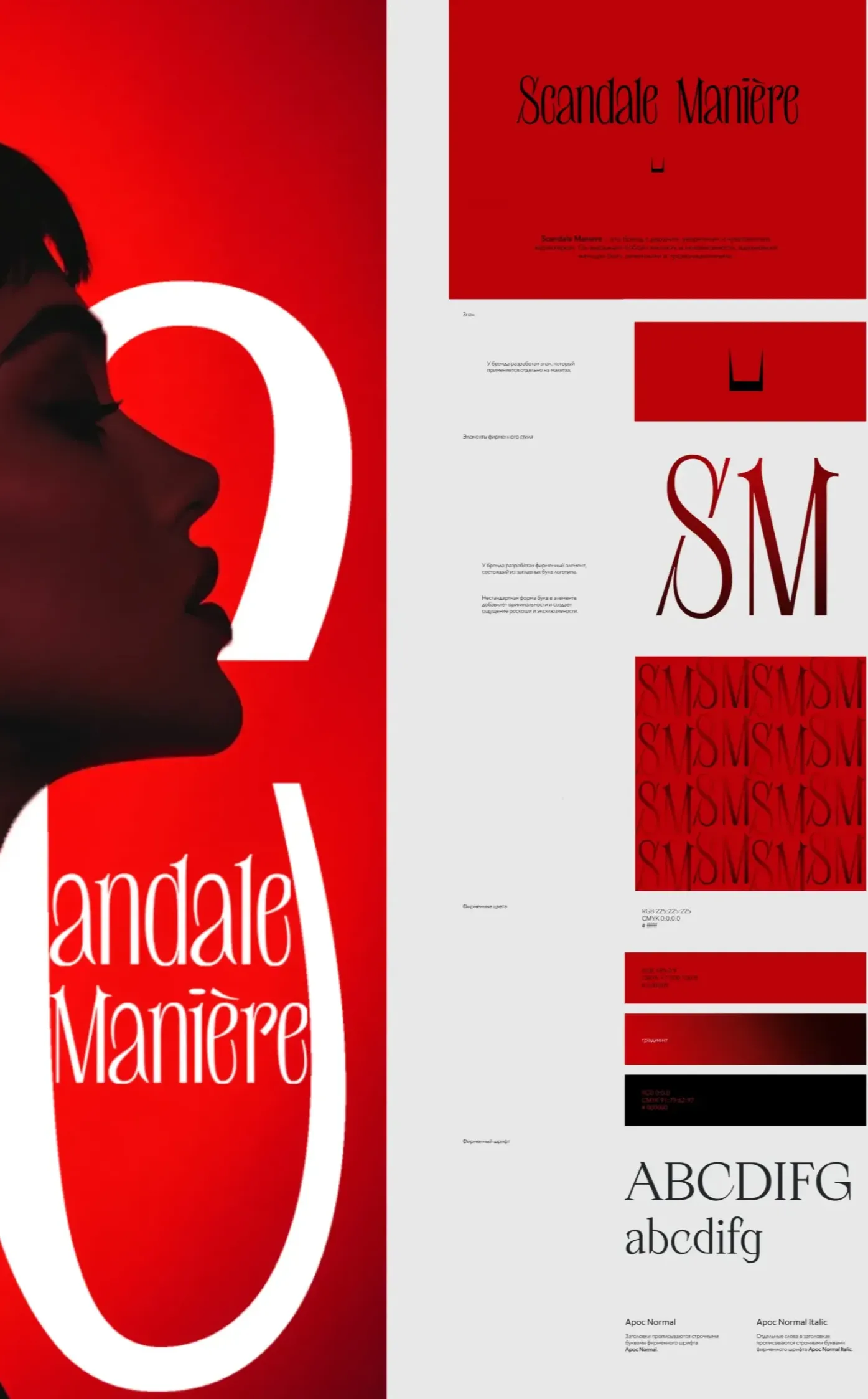 Full branding and outdoor advertising design for a luxury lingerie store, delivered in elegant style