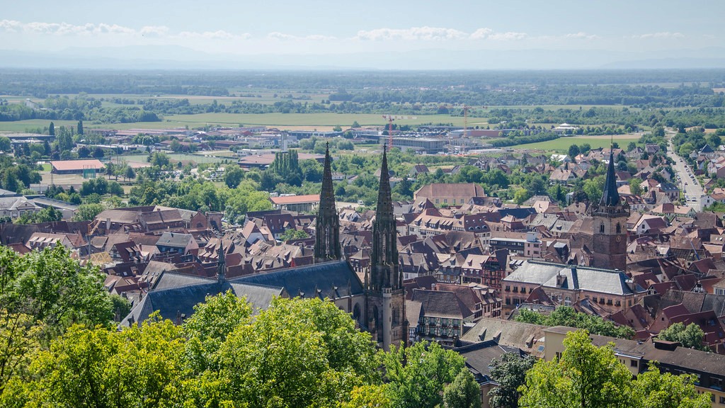 Place du Marché, remparts médiévaux, vignoble et Mont Sainte-Odile à deux pas : Obernai est une étape incontournable de la Route des Vins d'Alsace.