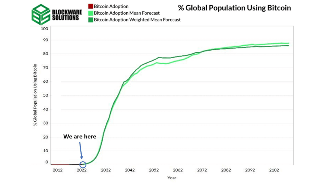 Bitcoin Adoption Statistics