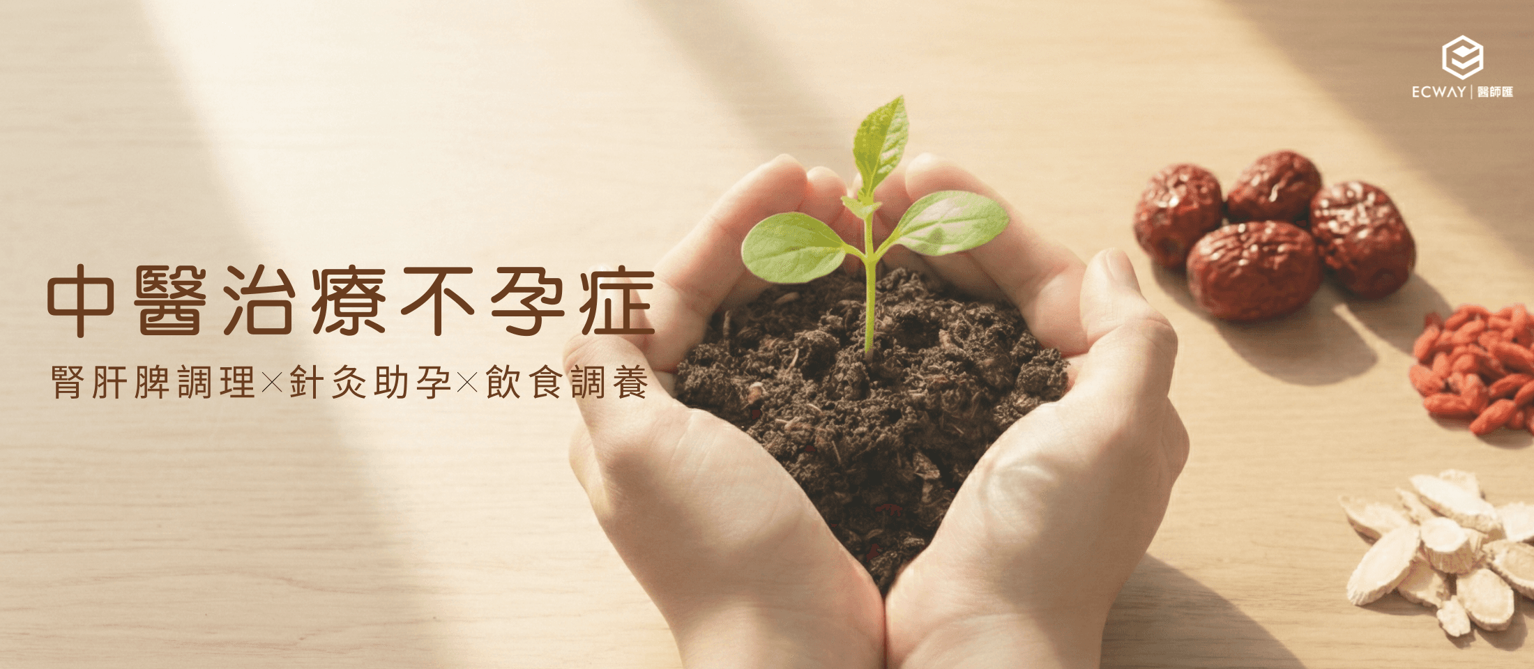 中醫治療不孕症｜由腎肝脾調理 針灸助孕 到飲食調養 