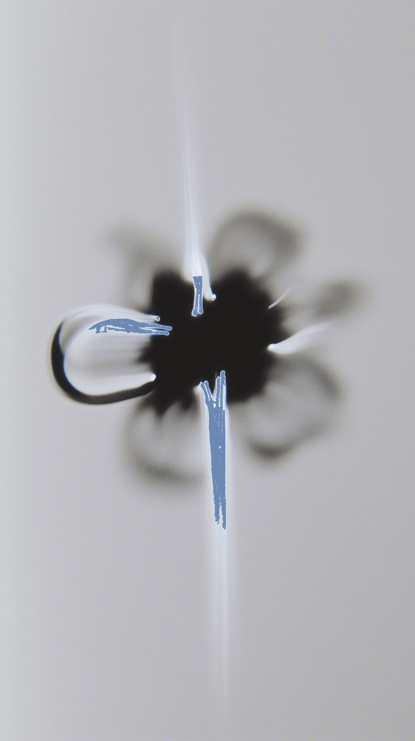 Abstract black shape with radiating white streaks on a gray background, resembling a starburst or flower. Minimalist and dynamic design.