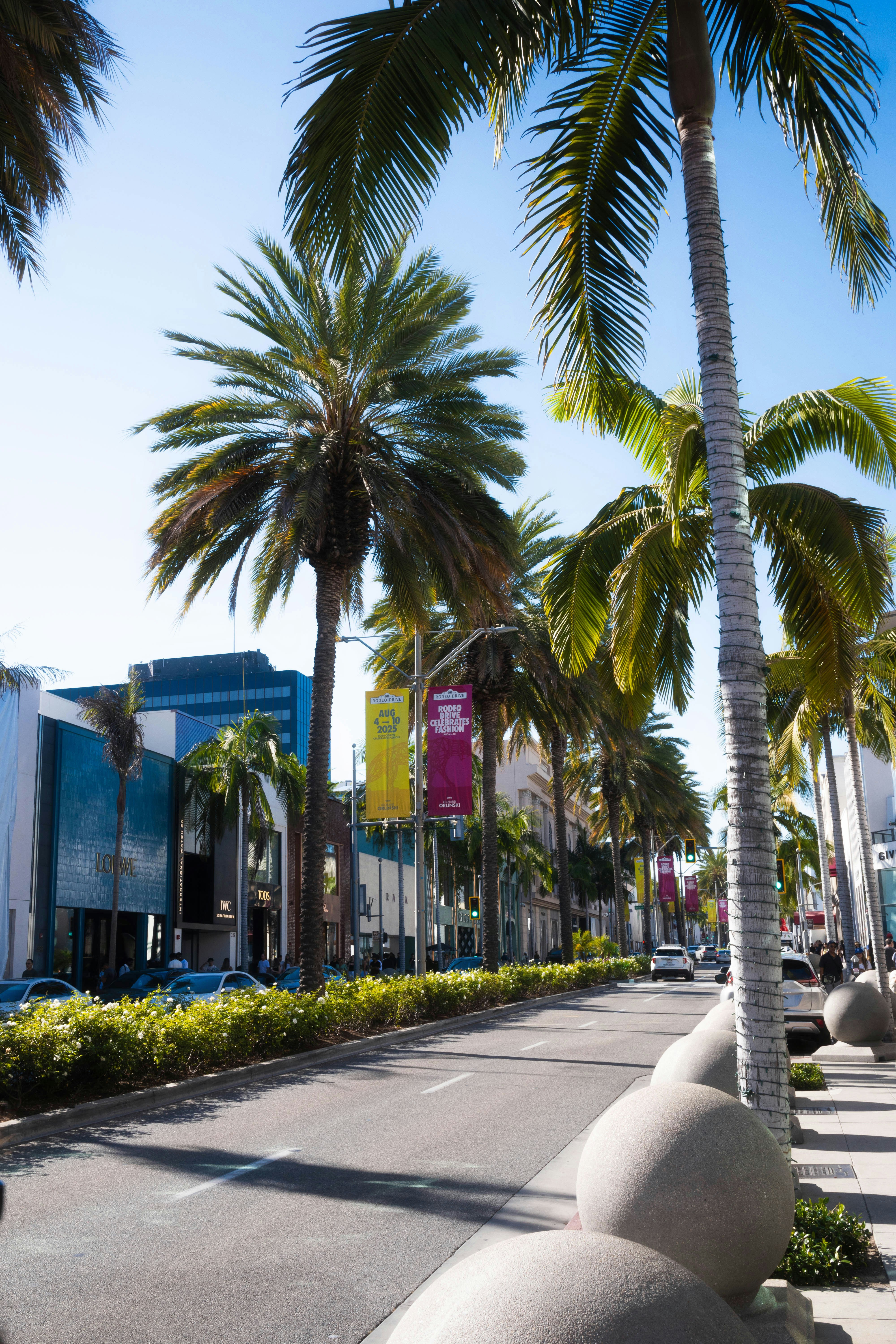 Palm trees line a sunny street with modern buildings.