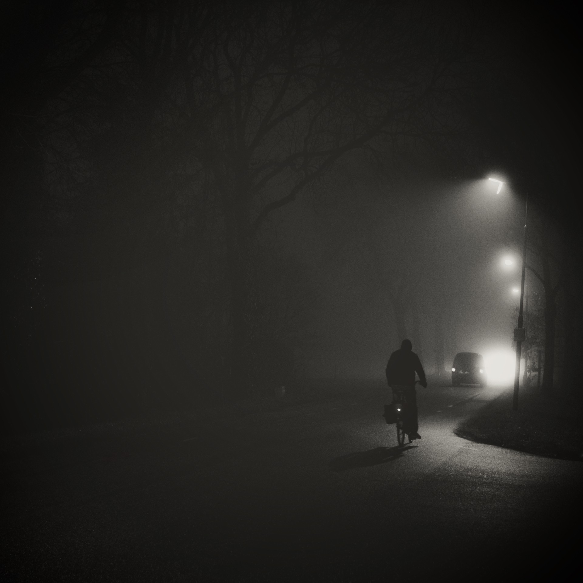 Foggy night street photograph showing a lone cyclist riding into the mist under streetlights and car headlights, with tall bare trees fading into the haze and strong contrasts of light and shadow.