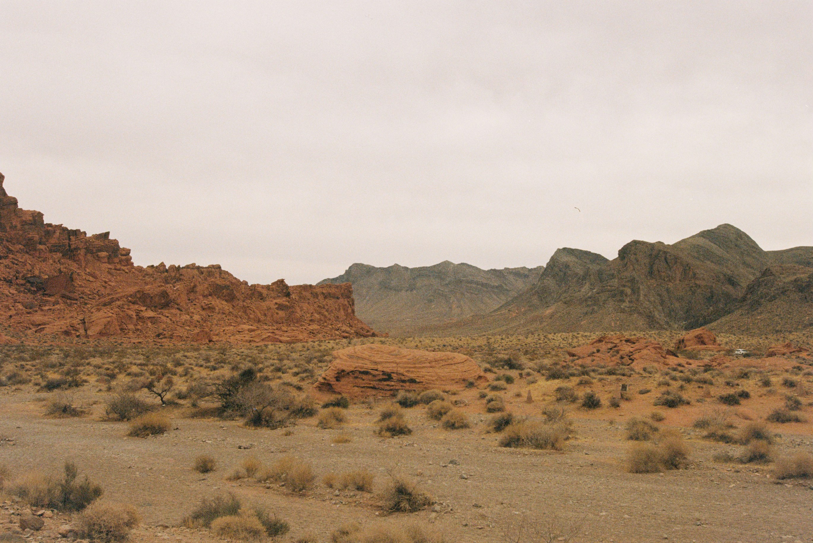Red rock formations in a desert landscape