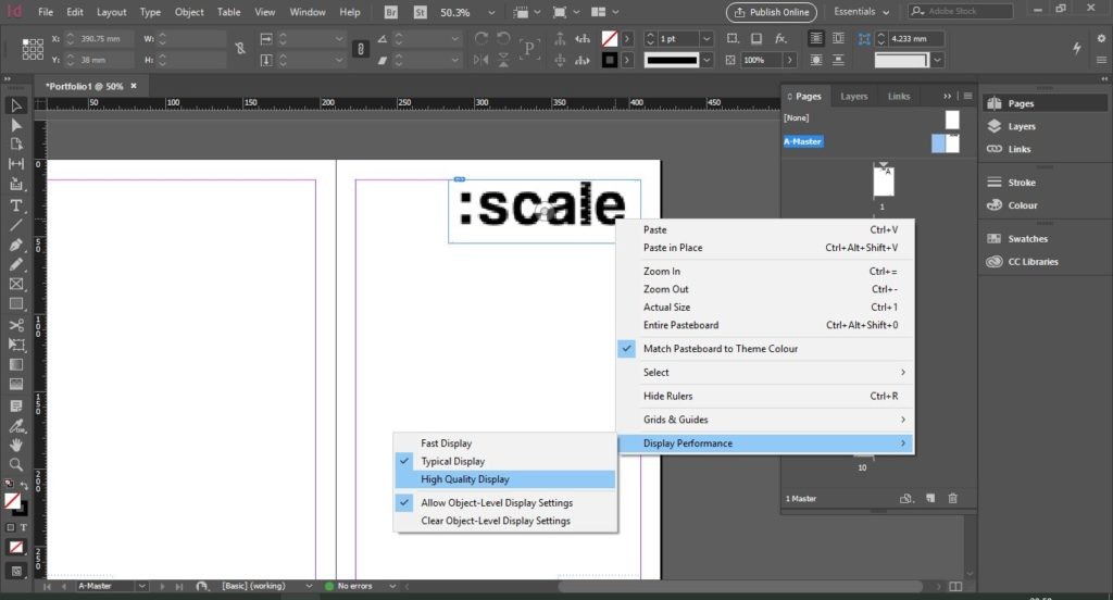 adding_images_frame.AdobeInDesign5Skills