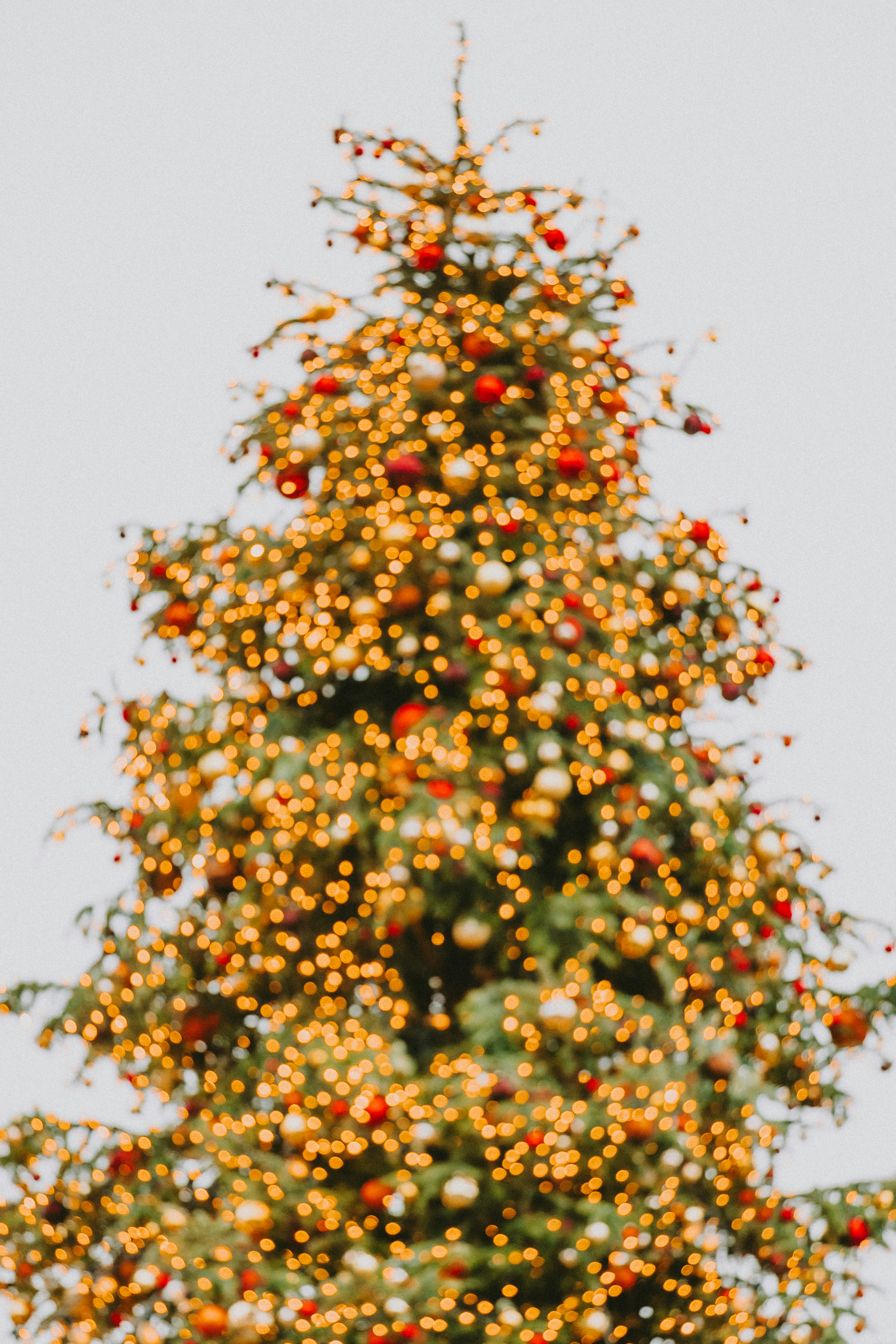 A decorated christmas tree with lights and ornaments.
