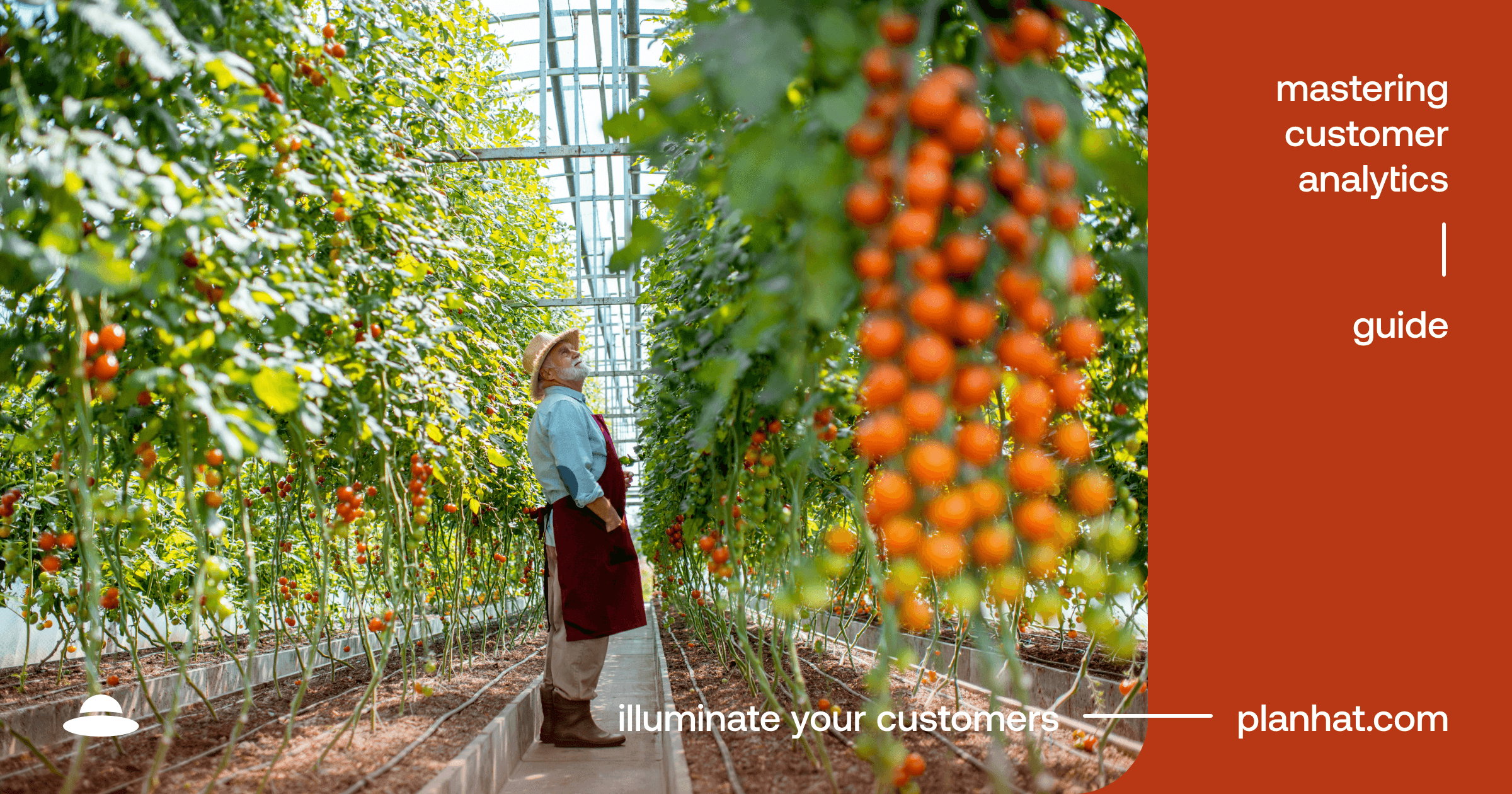 Planhat Guide What is a good customer growth rate?
