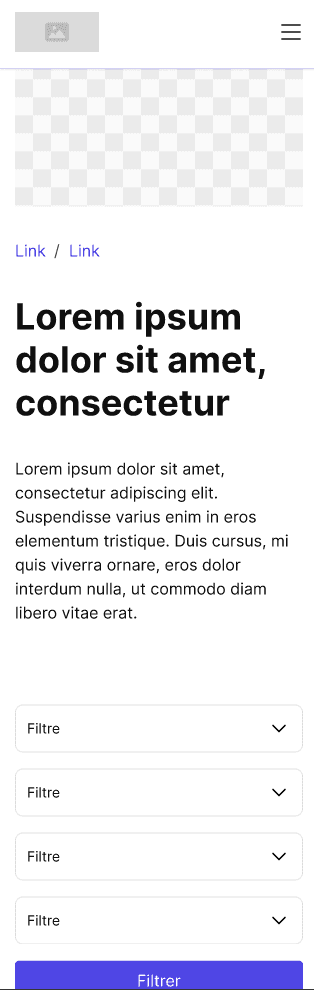 Un template d'interface web mettant en avant un système de filtres au sein d'un Design System.
