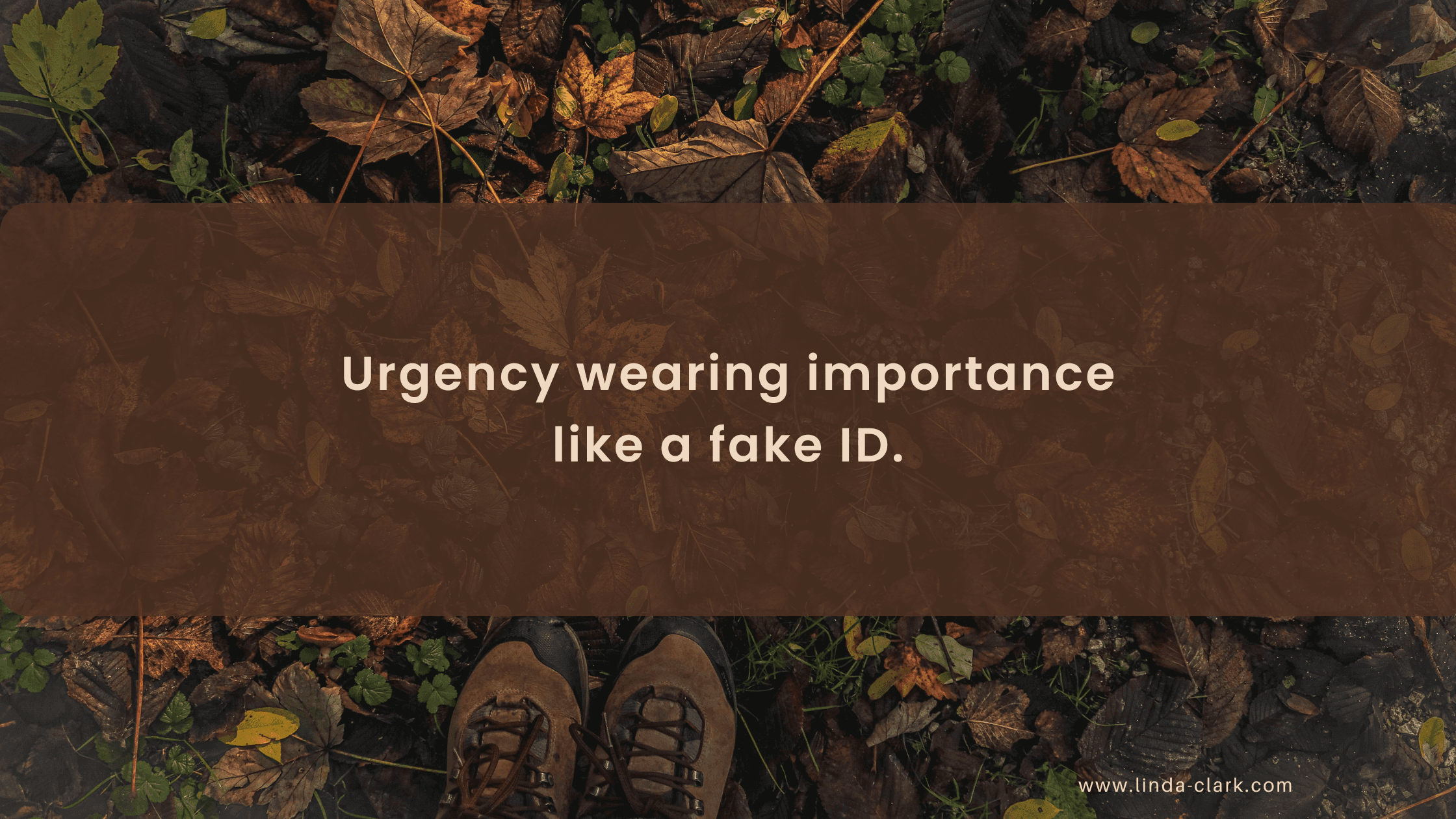 A photo of a forest floor covered in leaves and looking down at your boots in the leaves. The title of the blog post is on a brown background and says Strategic Stillness in Leadership: The Power of Pause | Linda Clark
