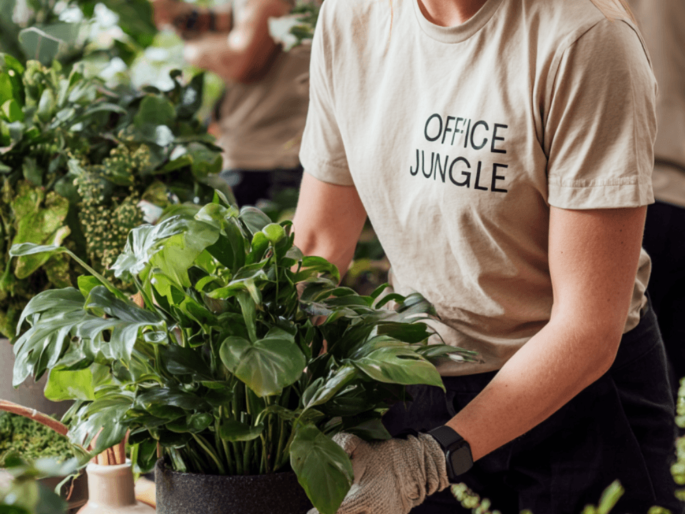 biuro wśród roślin dostarczonych przez officejungle