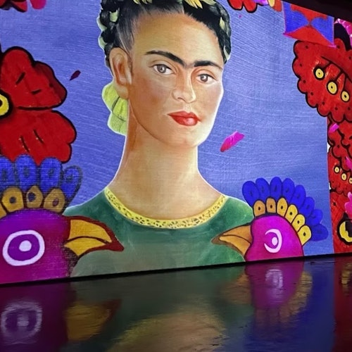 Un murale colorato raffigurante una donna con i capelli intrecciati, circondata da vivaci uccelli rossi e viola su uno sfondo blu.