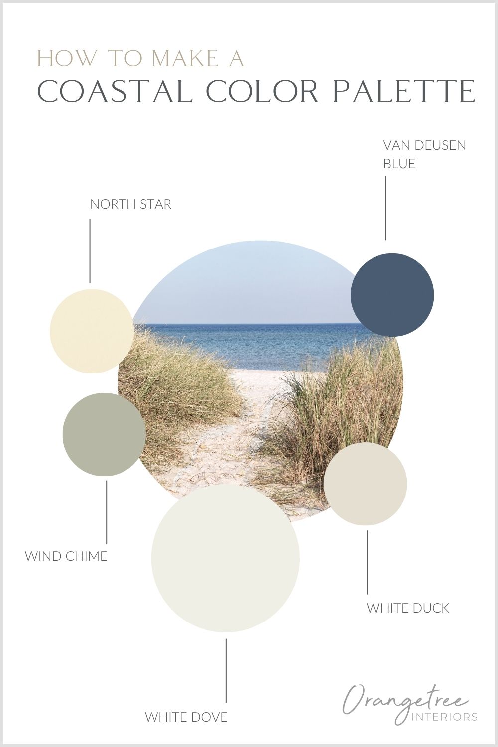 Coastal Color Scheme inspired by beach  landscape