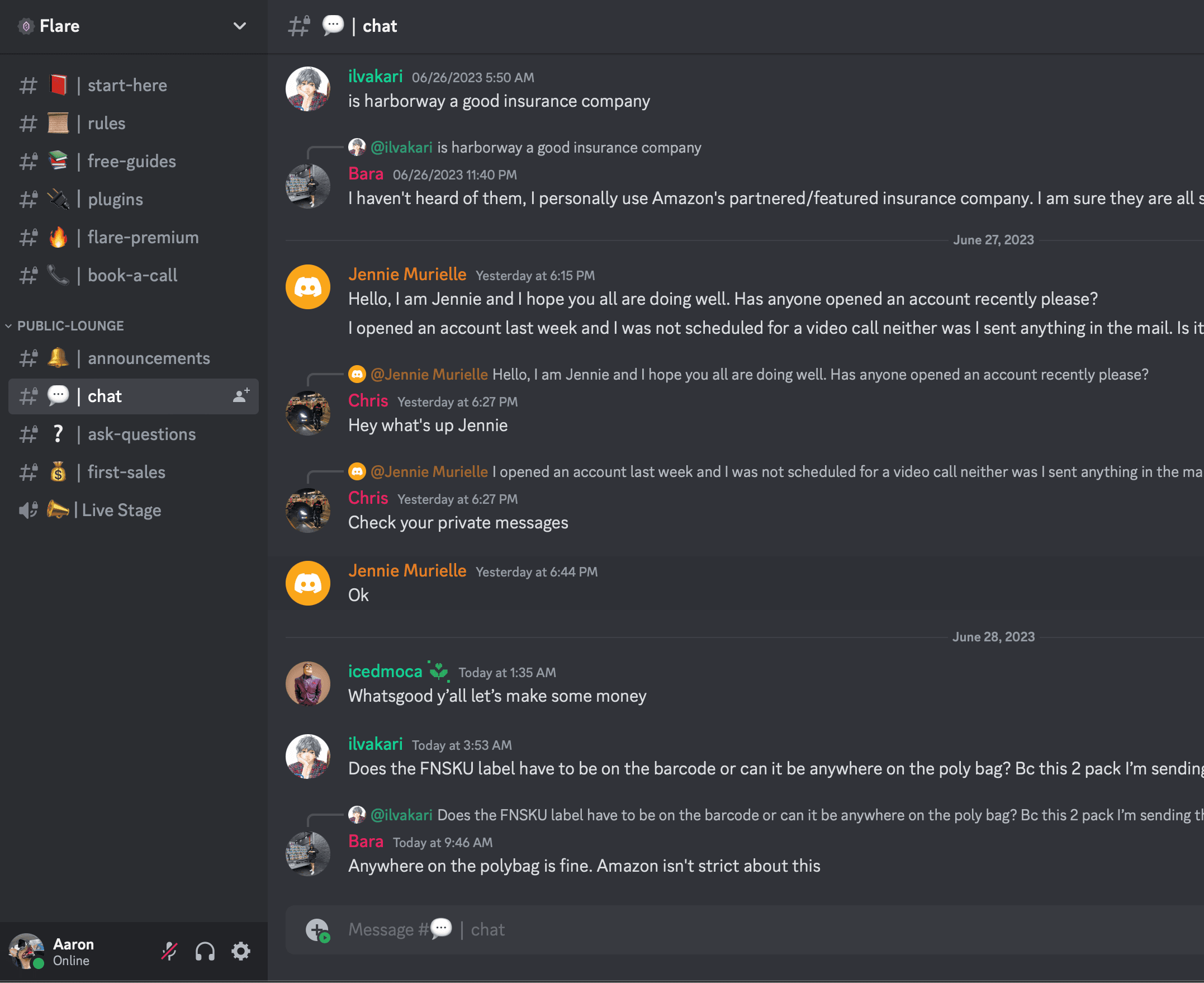 Discord Flare Screenshot