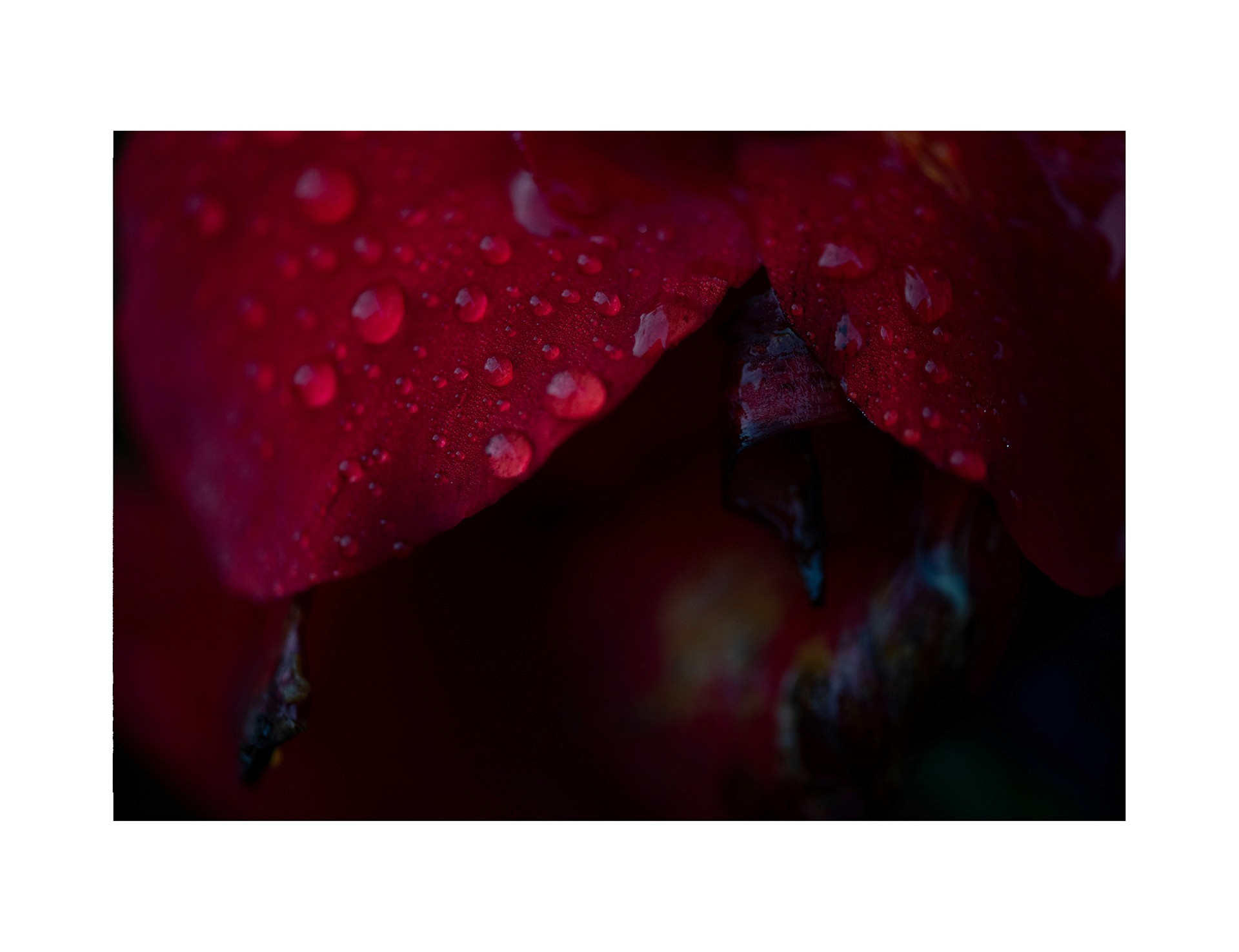 3D rendering of a proposed commercial complex