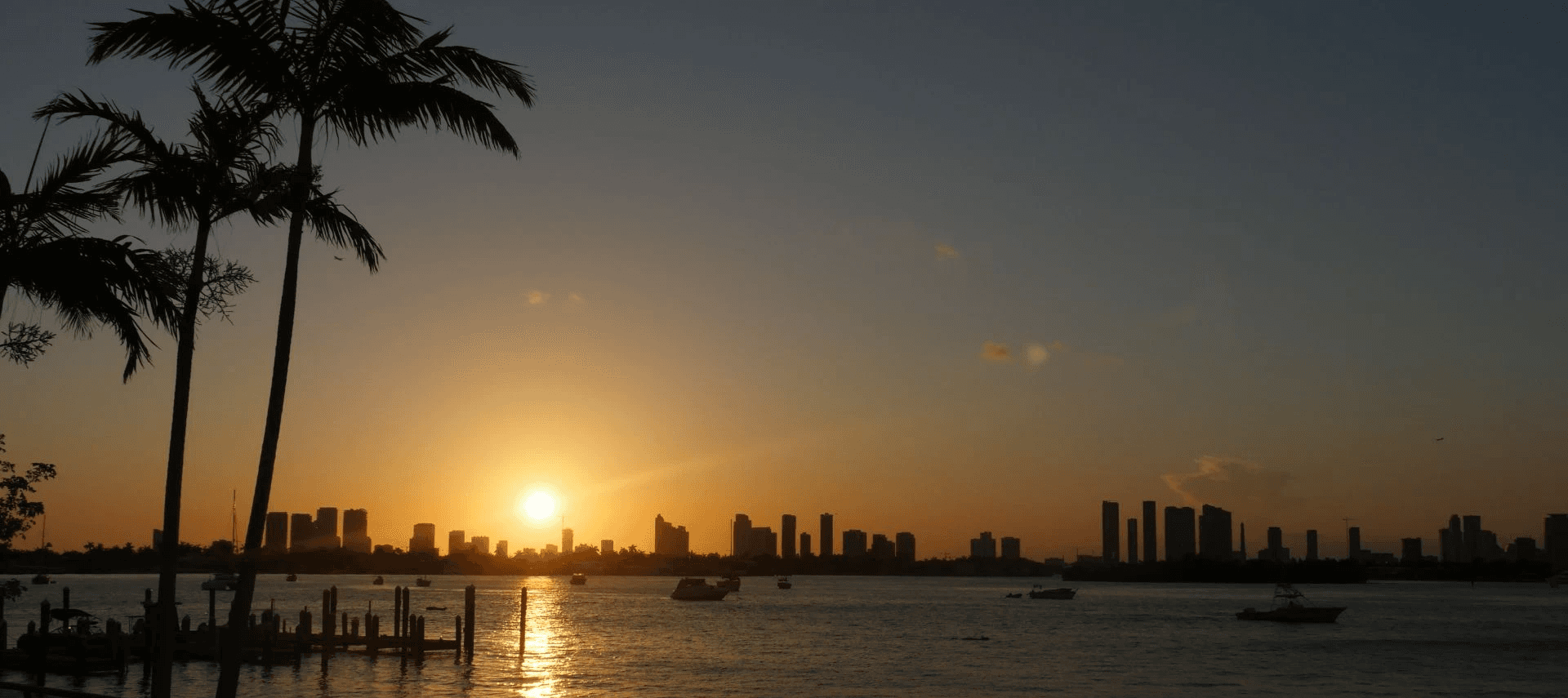 silhouette of palm trees near body of water during sunset