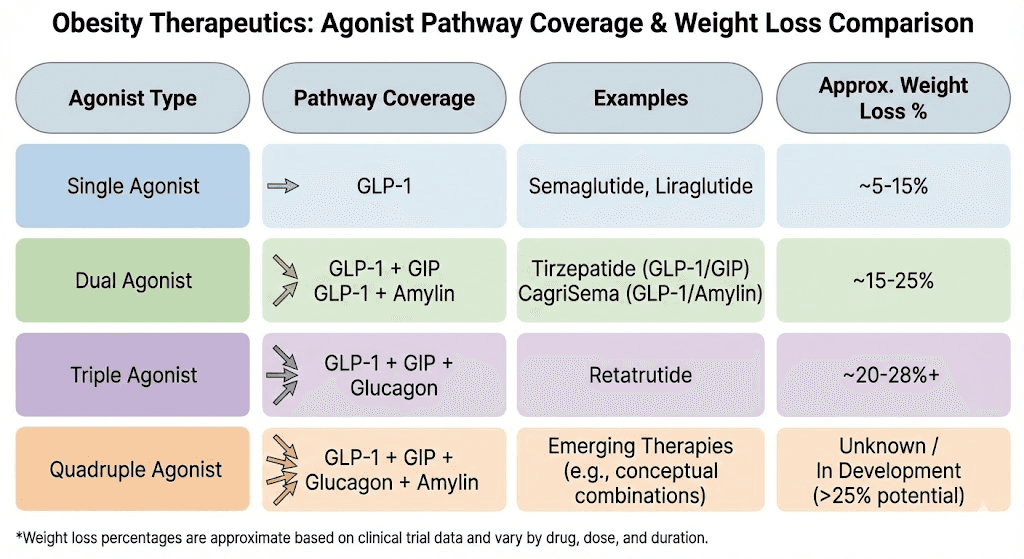 Comparison of single dual triple and quadruple agonist peptide weight loss pathways