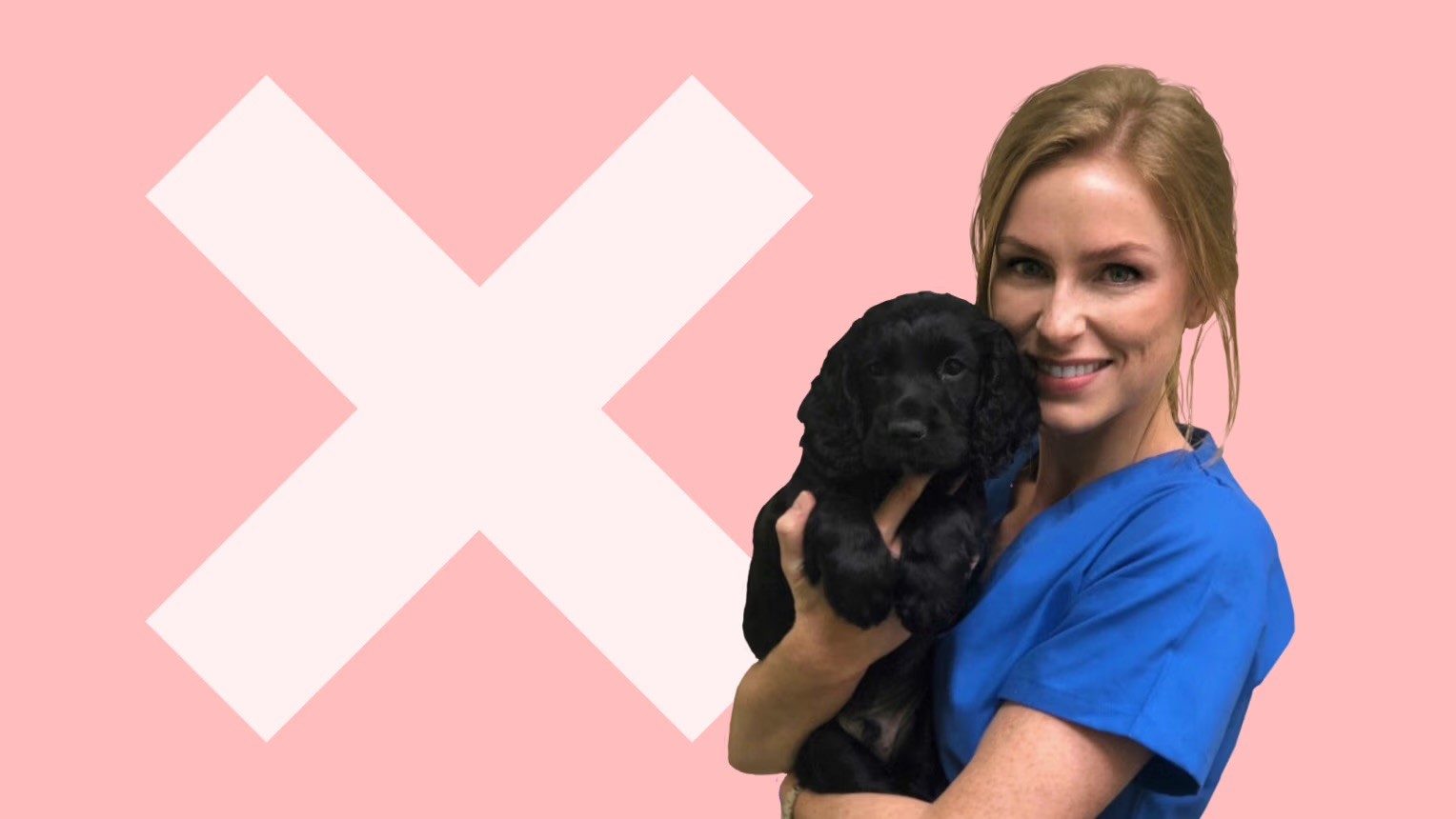 A vet in blue scrubs holds a black Cocker Spaniel puppy against a pink background featuring a large white cross symbol.