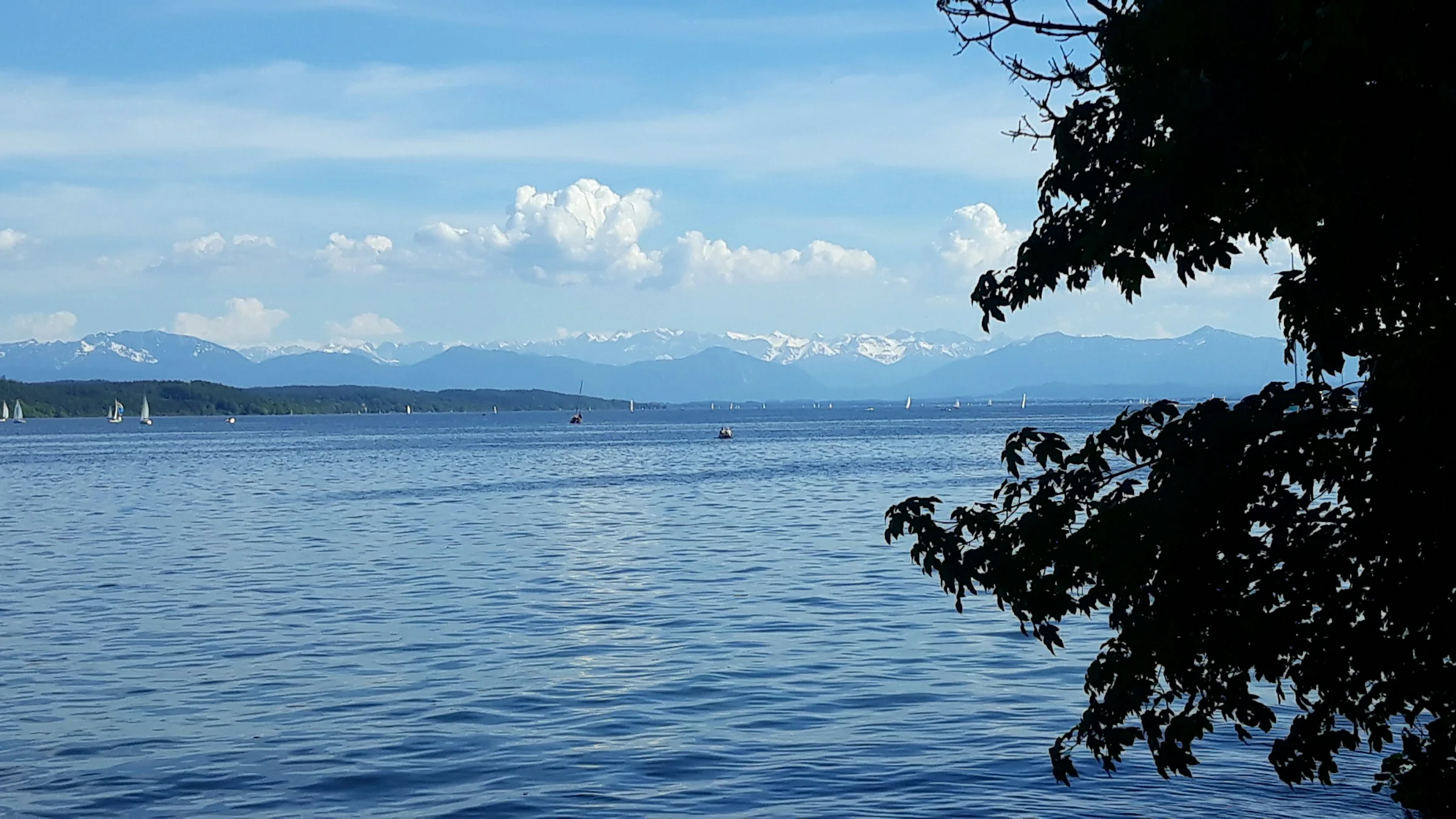 Bodensee mit Alpenpanorama und Segelbooten (Dreiländersee DE/AT/CH)