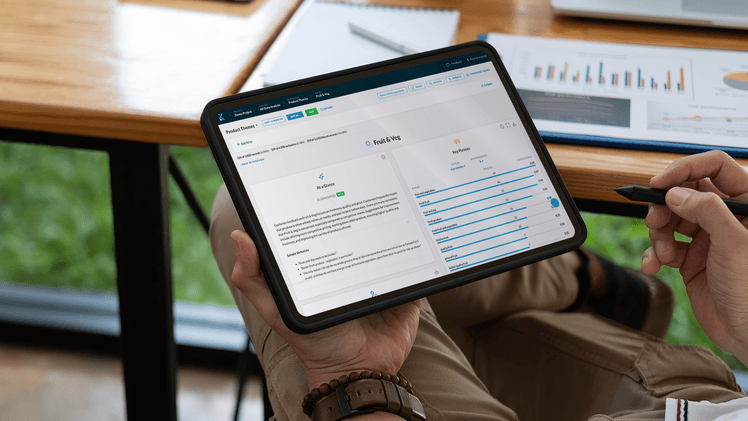 Kapiche automatic theming capability