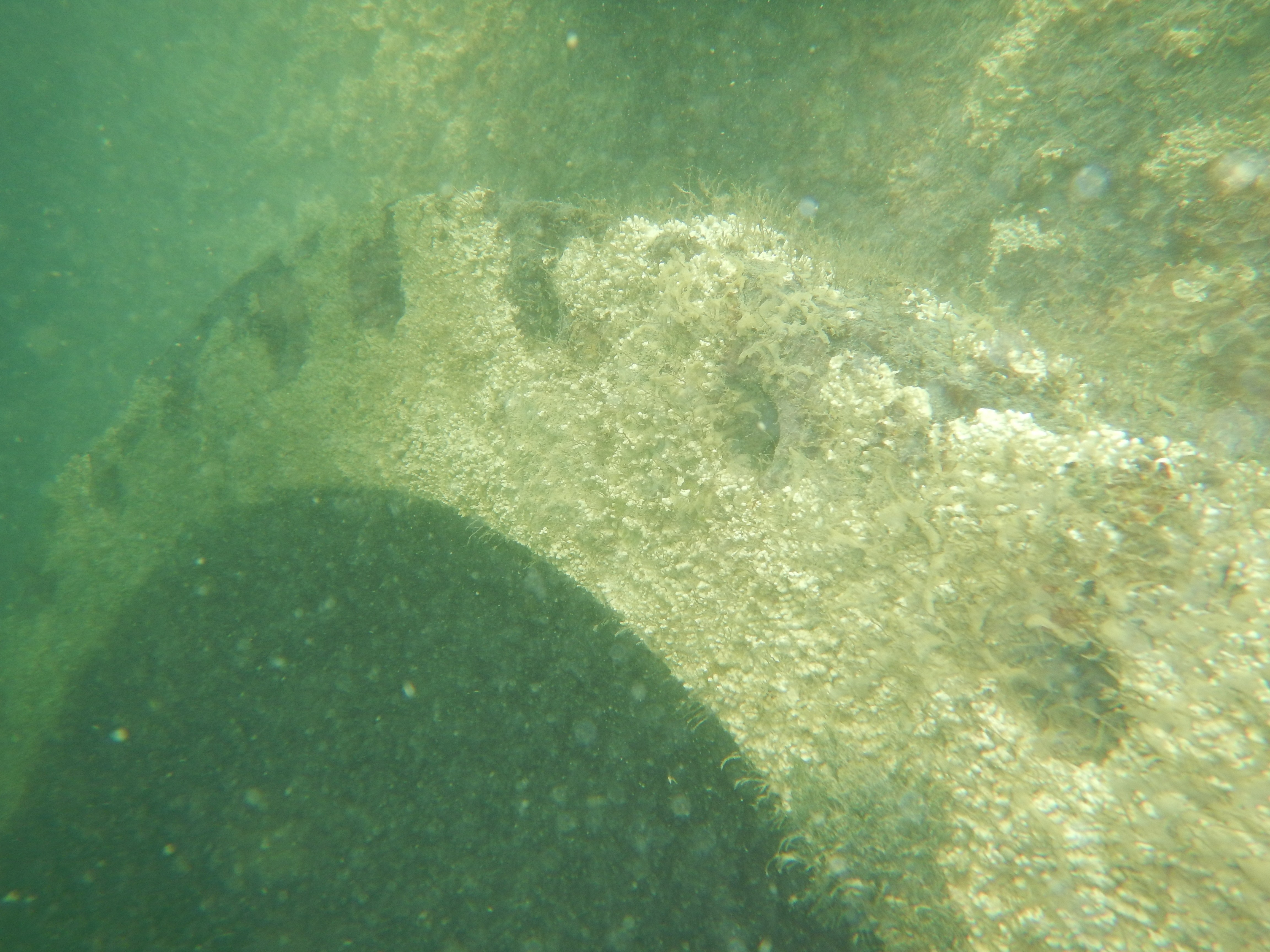 photography of two persons underwater