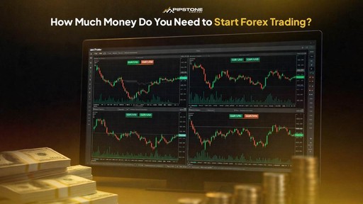 How Much Money Do You Need to Start Forex Trading?