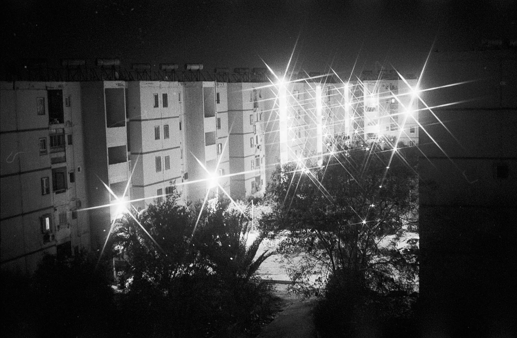 Lights Through the Trees
