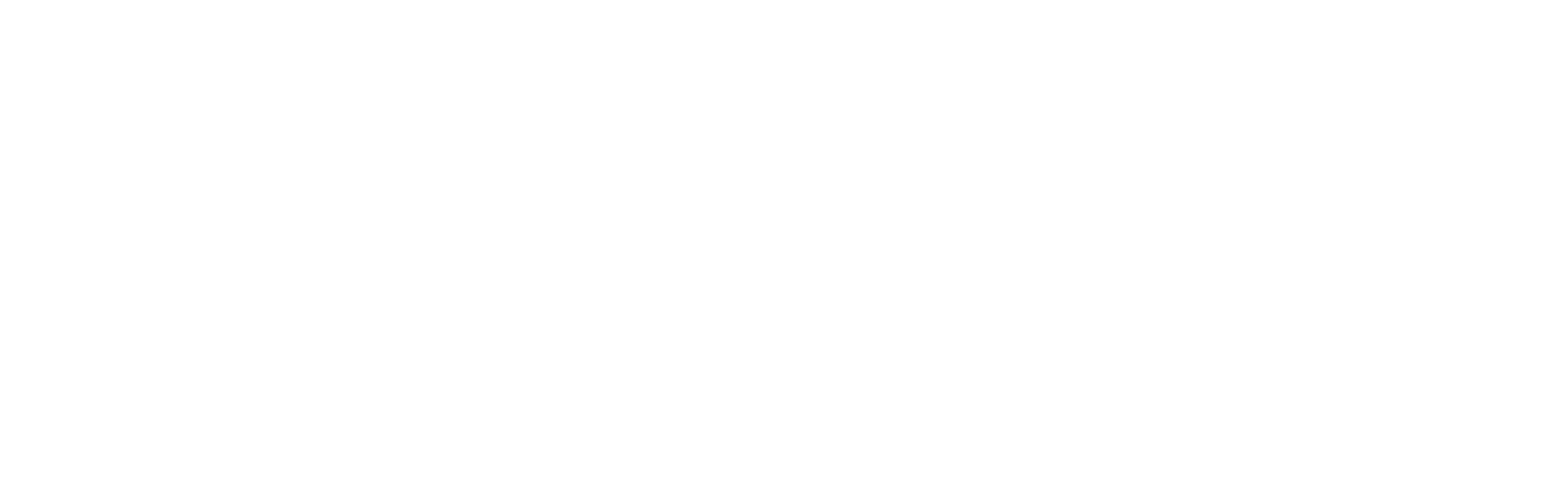 NaturCare logo