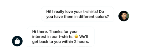 Chat Box Popup