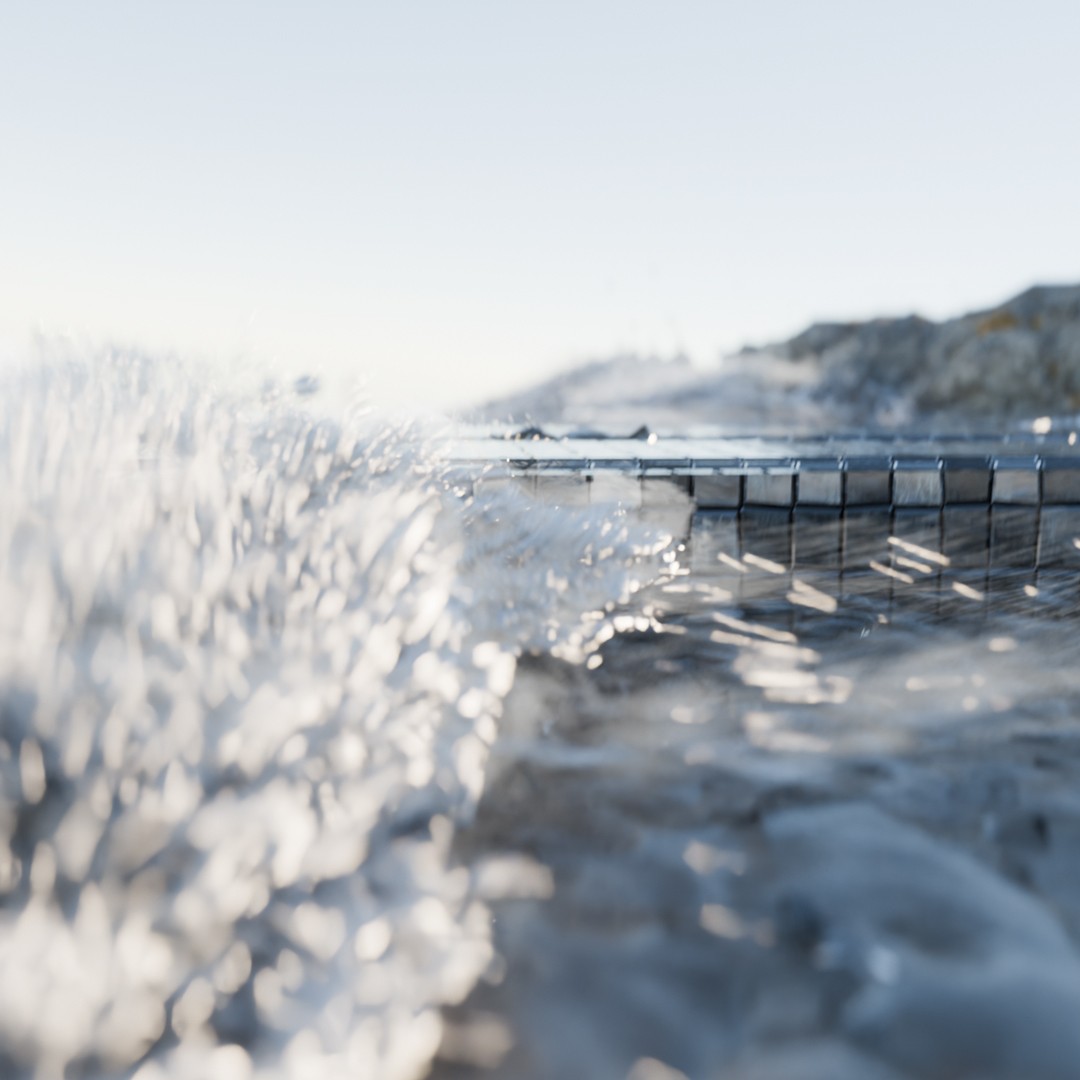 project img