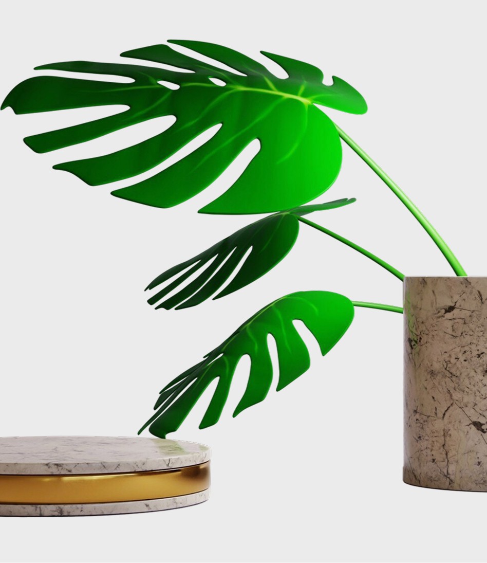 3D Wood podium natural rock showcase