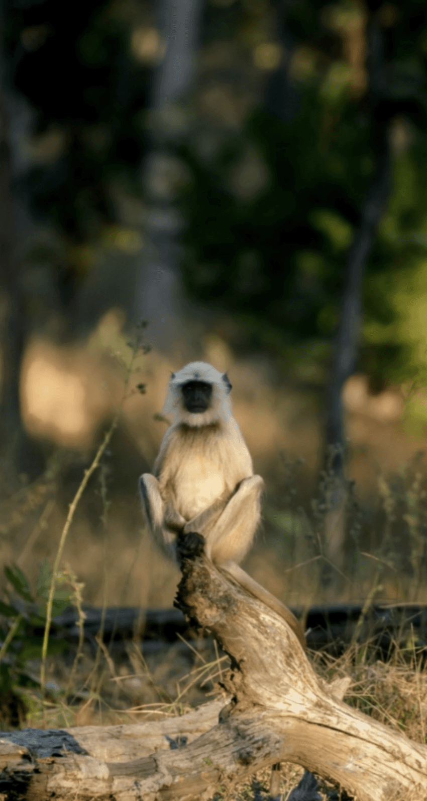 a building with persony windows