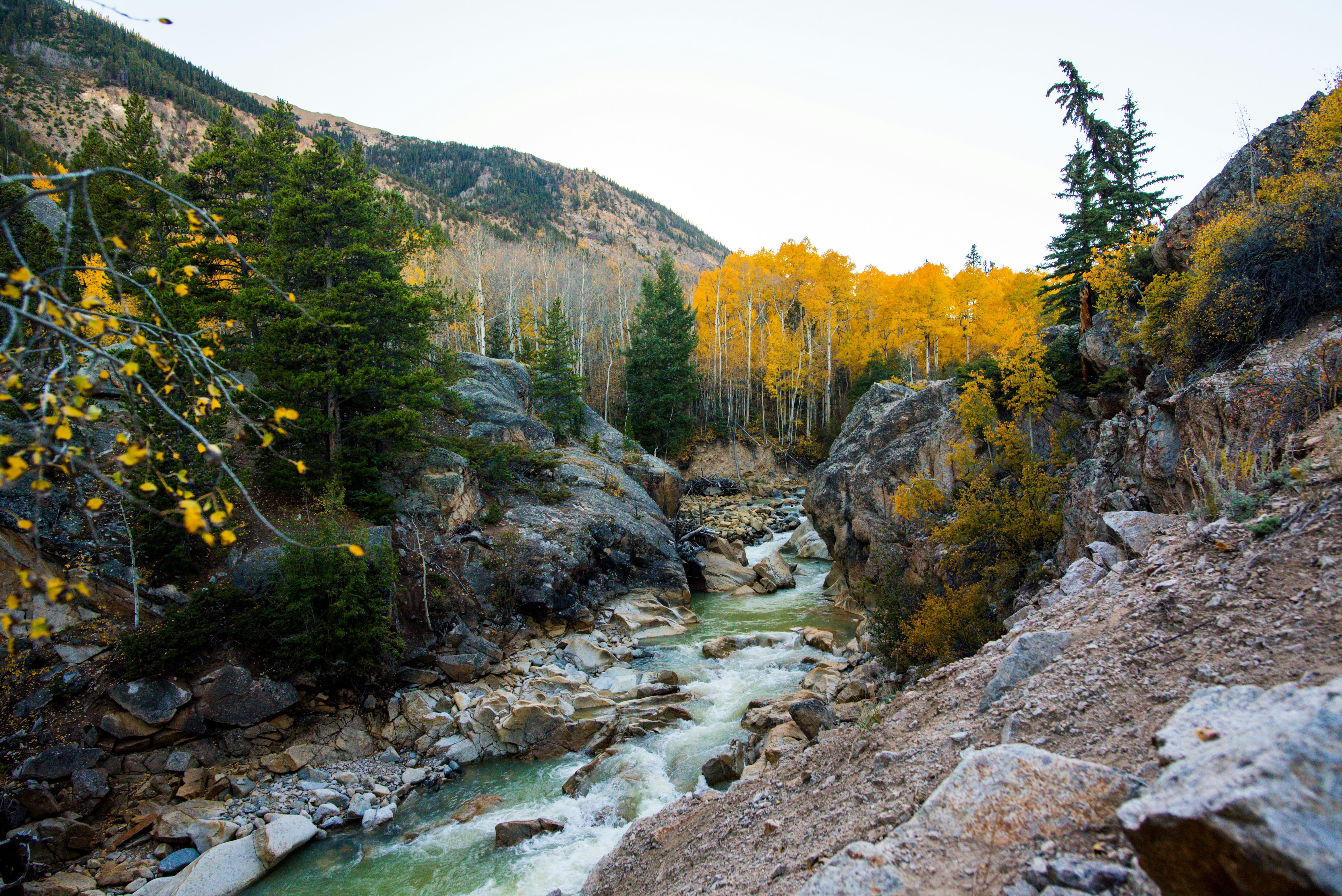 river flowing through mountains and forest