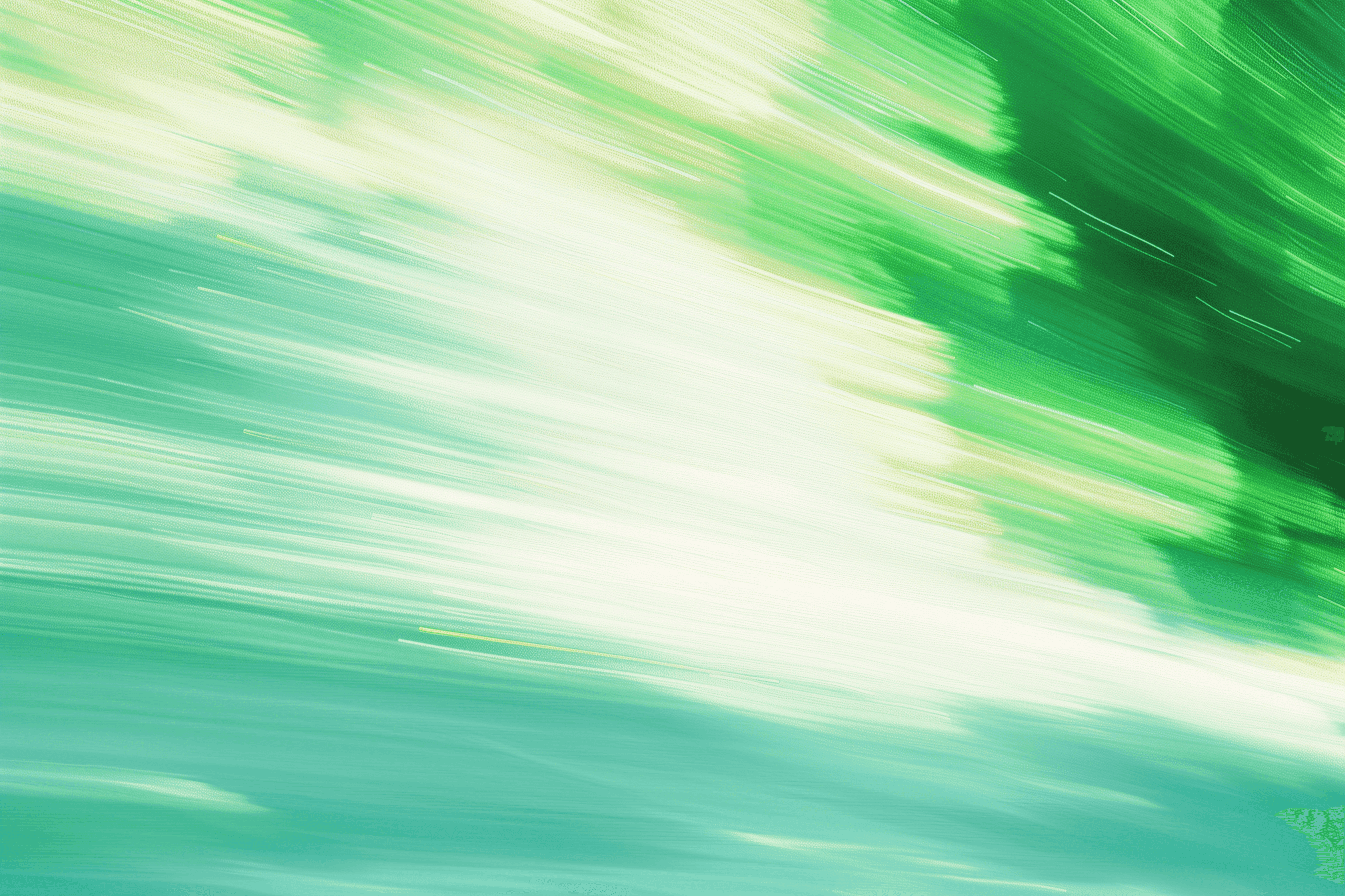 person checking expenses on ther laptop