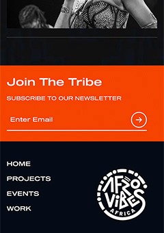 Afrovibes Africa newsletter subscription page UI — digital platform design, MetaCraft.