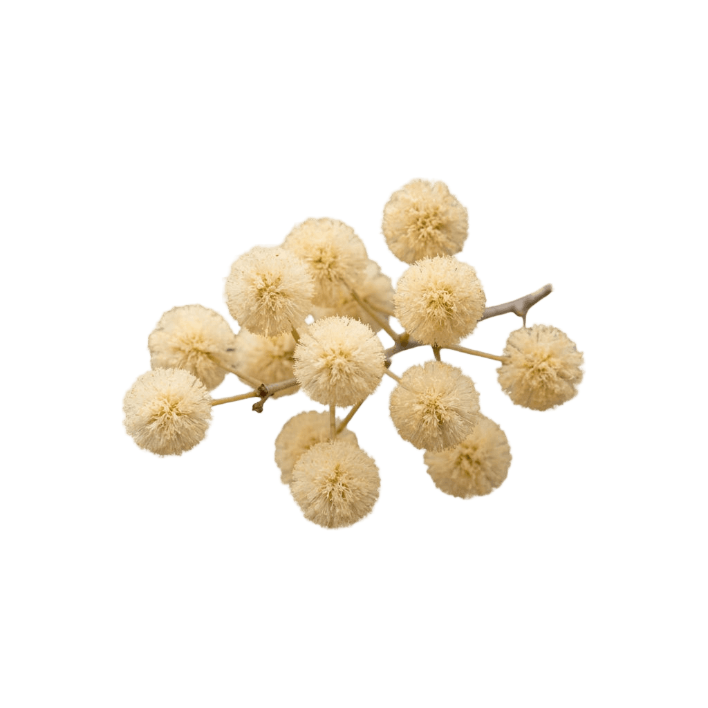 Clear plastic cup with red liquid on a red background