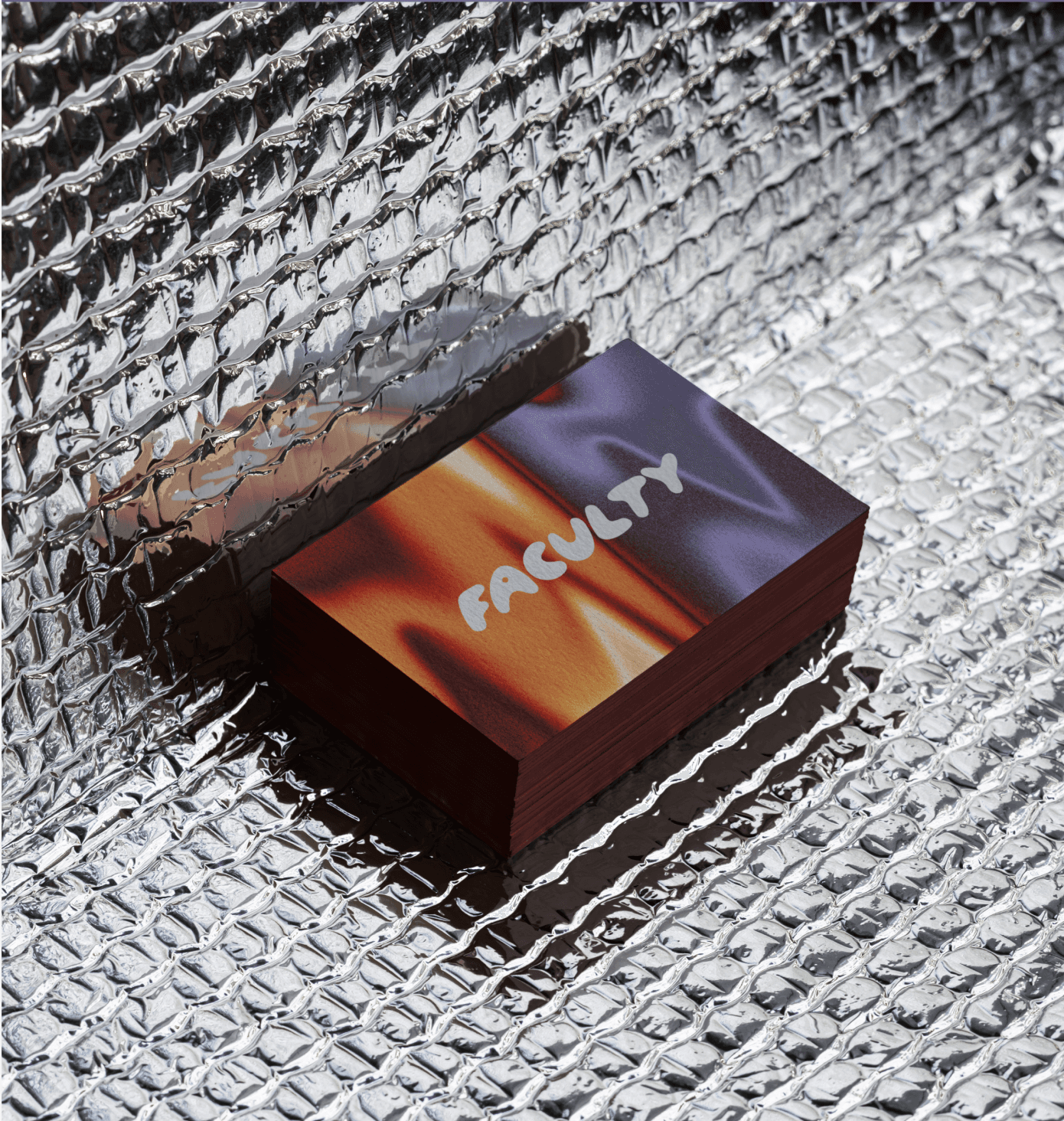 Project Gallery Image for 50% width of the screen #2