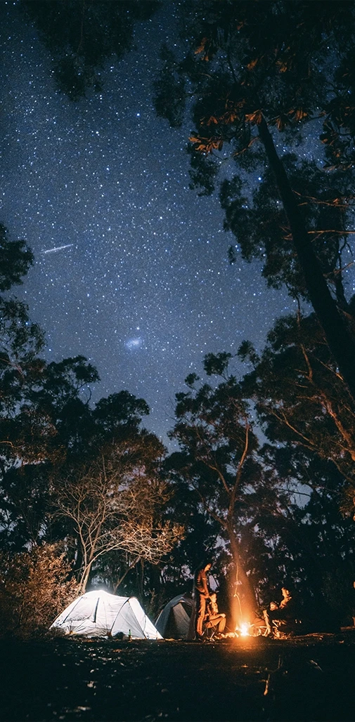 Camping sous nuit étoilée