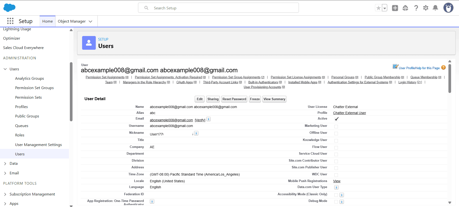 Salesforce User Detail configuration page displaying account information, license type, and assigned profile settings.
