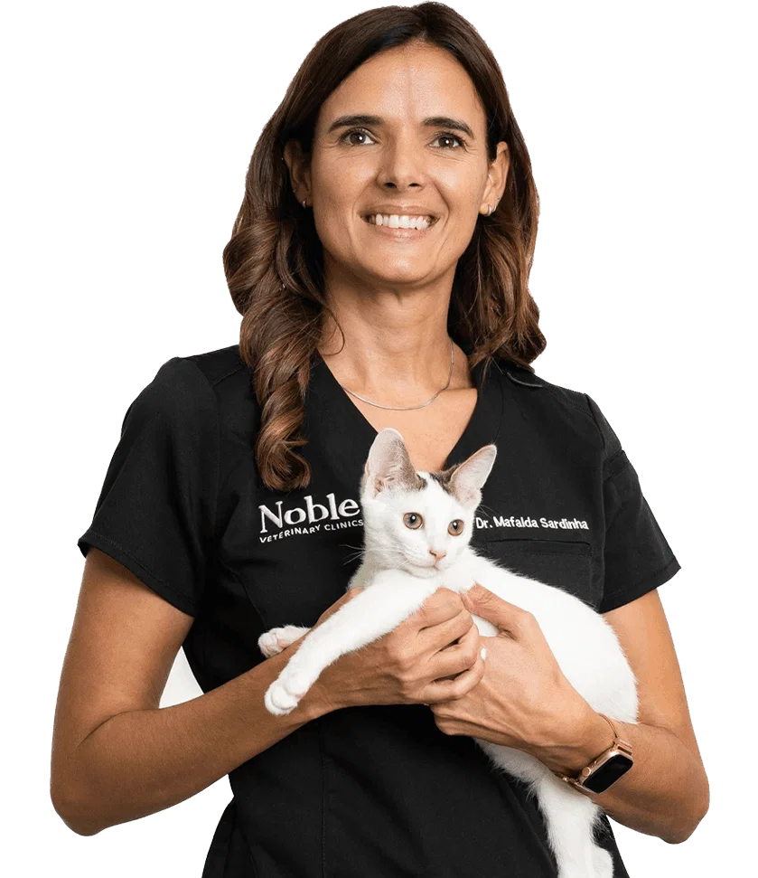 Dr. Mafalda Sardinha: Veterinary Surgeon | Medical Director at Jumeirah Branch