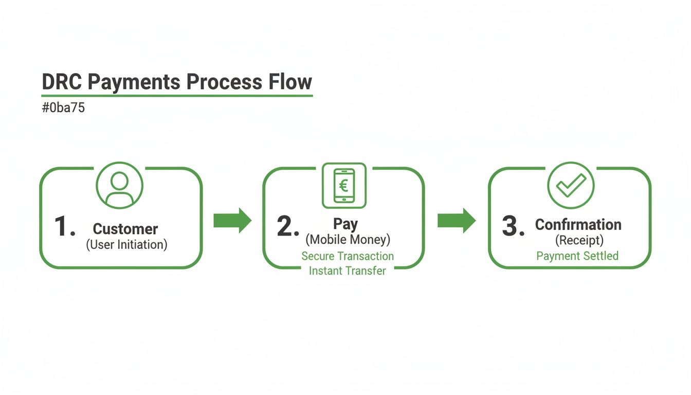 Flowchart showing DRC mobile money payment process: customer initiation, secure mobile payment, and confirmed settlement.