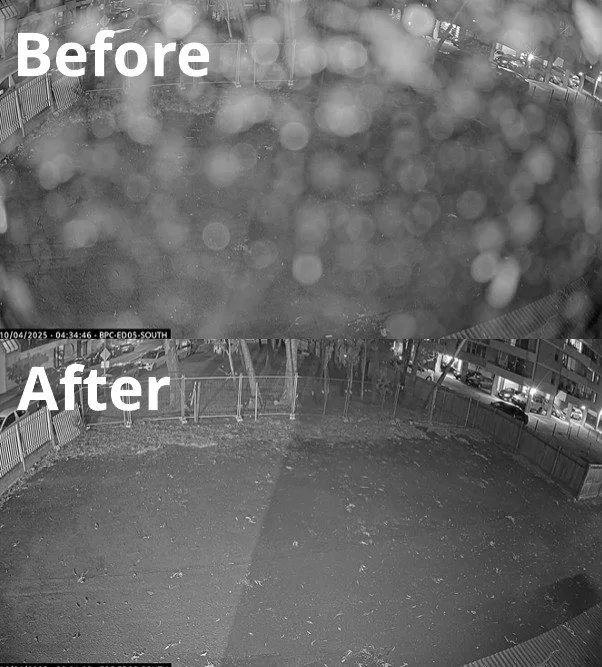 before and after camera clean
