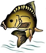 Wappen Sportfischereiverein Kirchberg e.V.