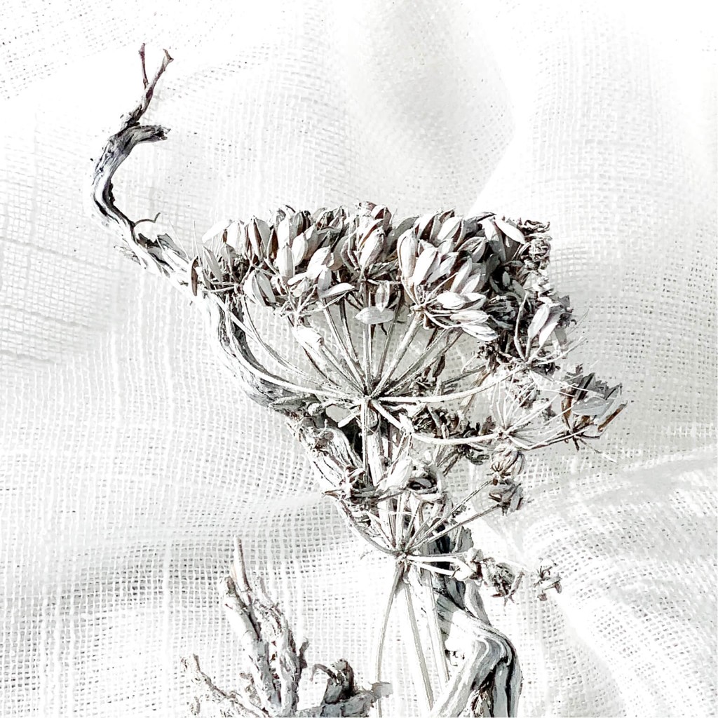 White dried-flower bouquet with bleached petals arranged in soft symmetry