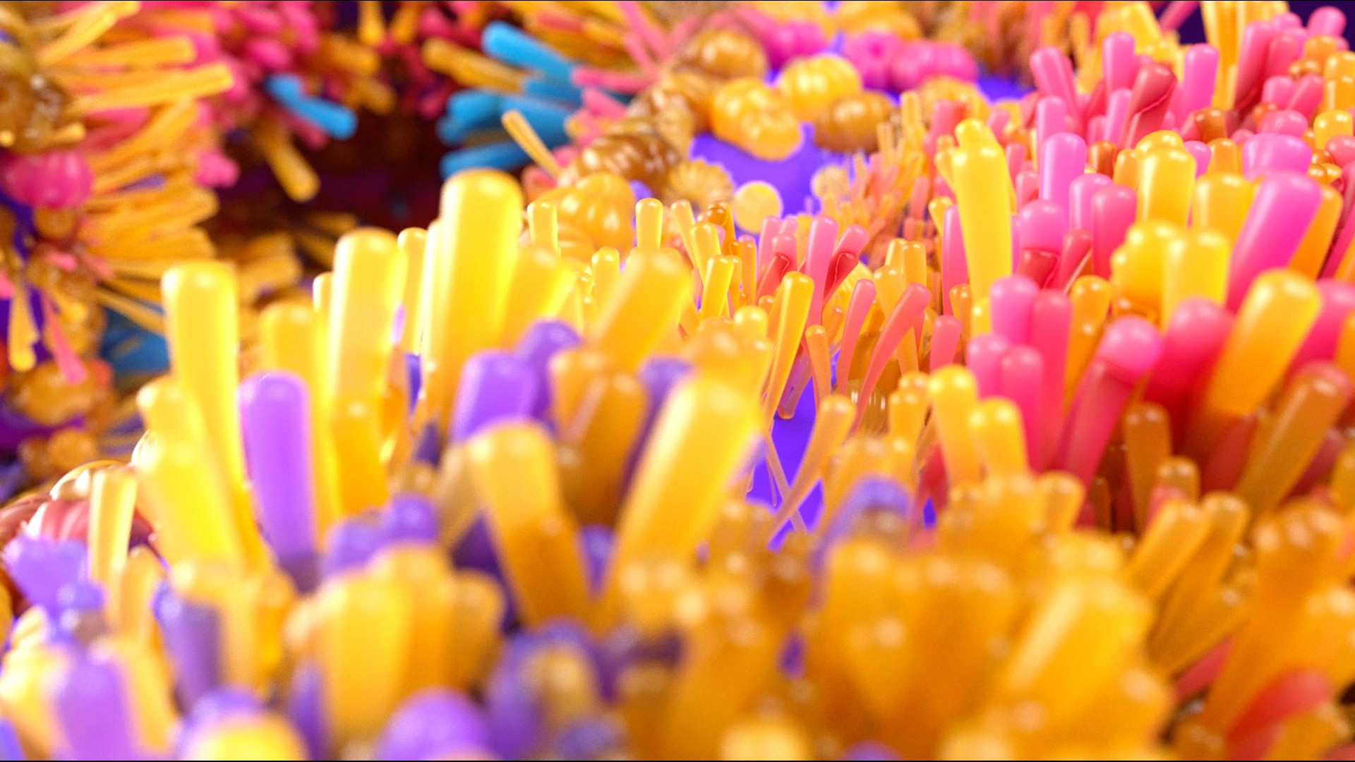 Vibrant 3D experiment featuring dense clusters of colourful, flexible tubular shapes in yellow, orange, pink and purple, with glossy surfaces and shallow depth of field.