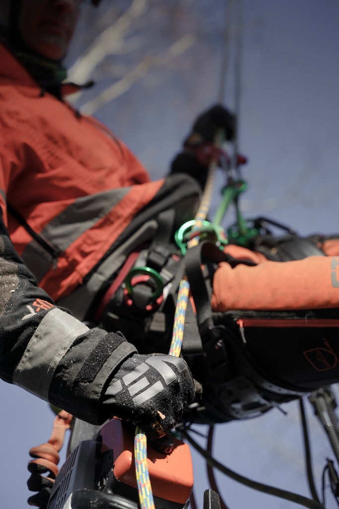 Anderson & Greenville Tree Service - Certified Arborists | Athens Tree ...