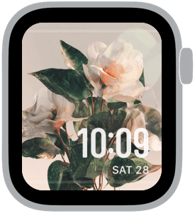 orchard static Apple Watch face preview 4 featuring floral, summer, and spring.