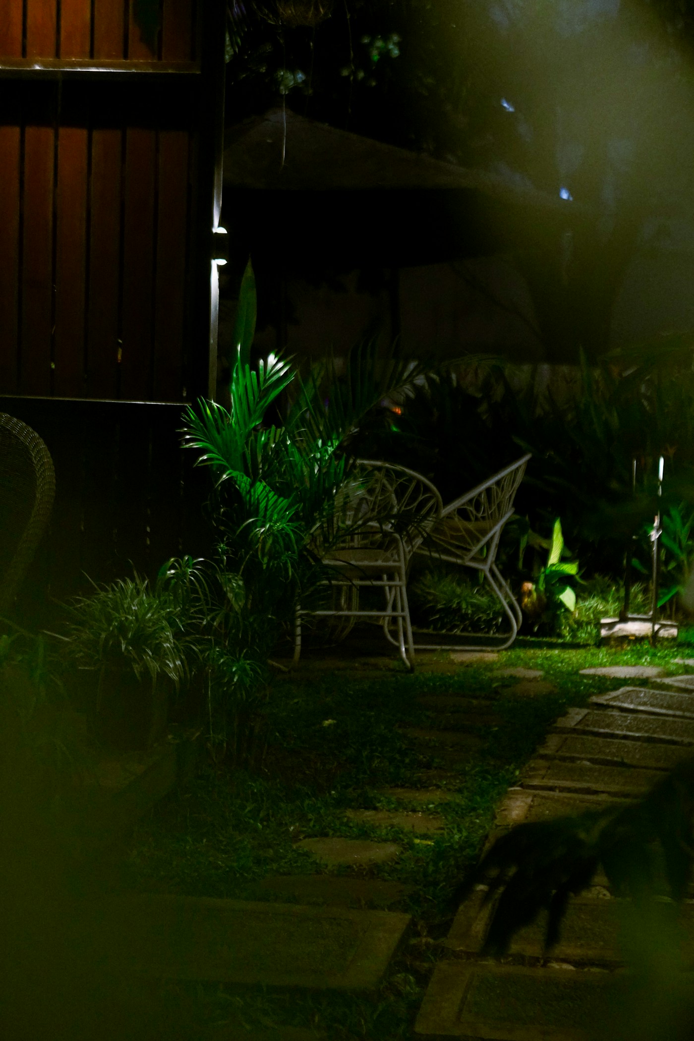 Evening garden lit with soft white lighting